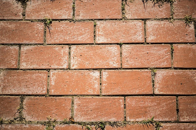Free Brick Background photo and picture