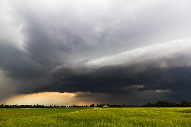 Free Cumulonimbus Storm Hunting photo and picture