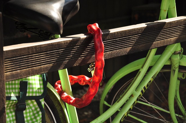Free Bicycle Lock photo and picture
