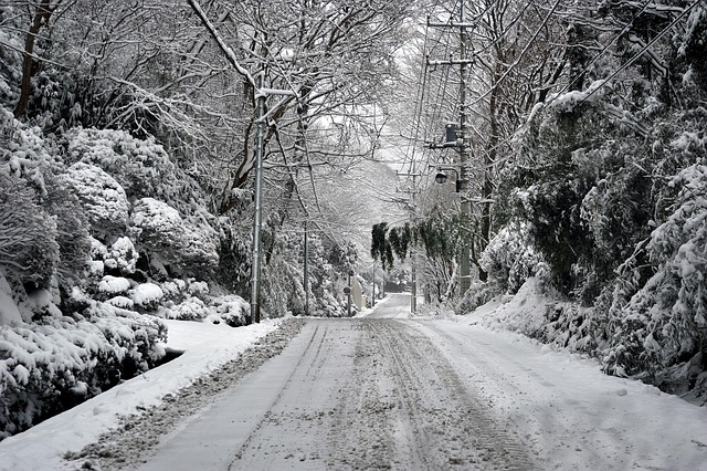 Neve Natural - Foto gratuita no Pixabay - Pixabay