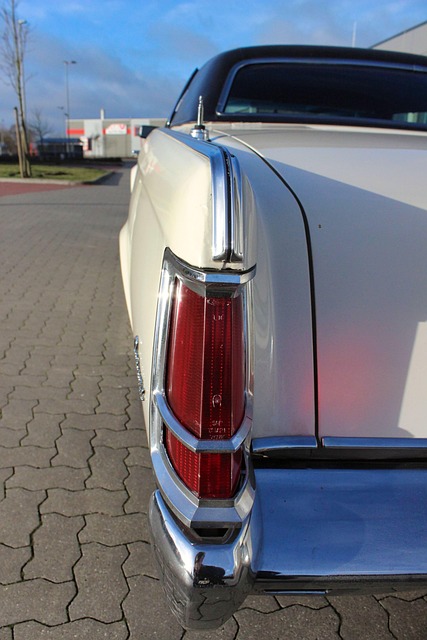 Free Automobile Taillight photo and picture