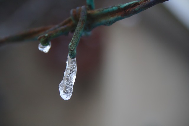 Free Ice Barbed Wire photo and picture
