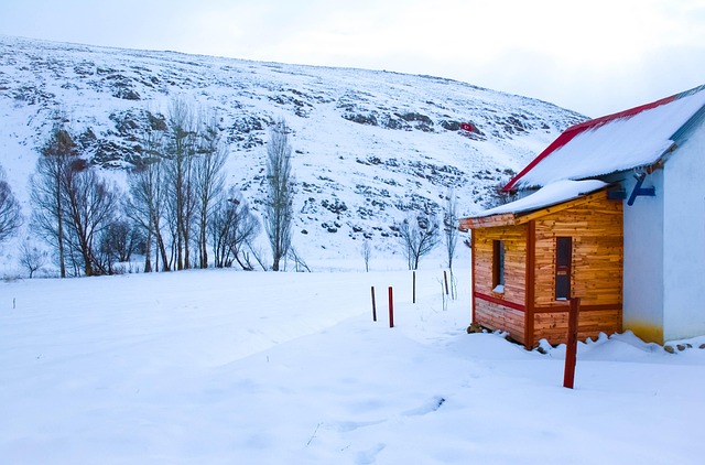Free Winter Shack photo and picture