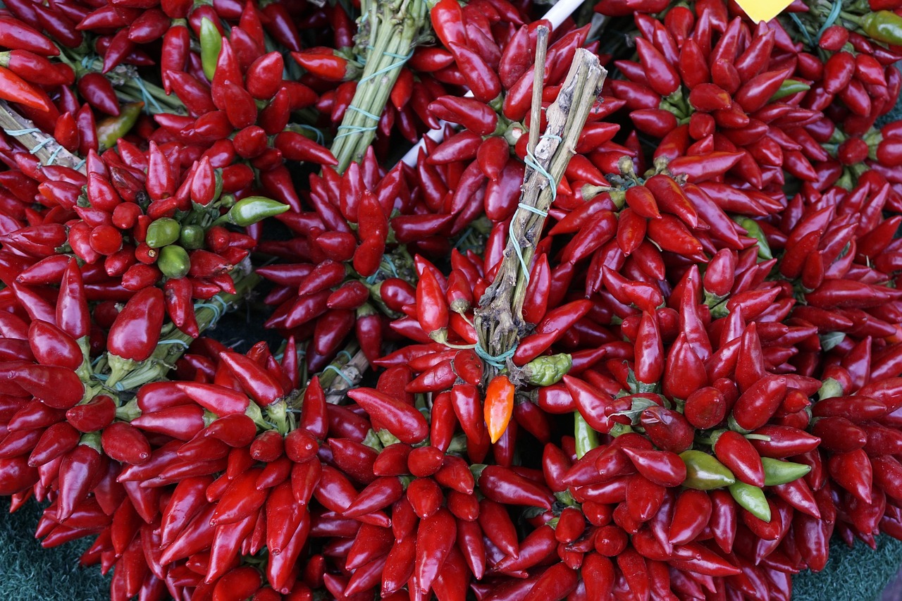 Chili Scherp - Gratis foto op Pixabay - Pixabay
