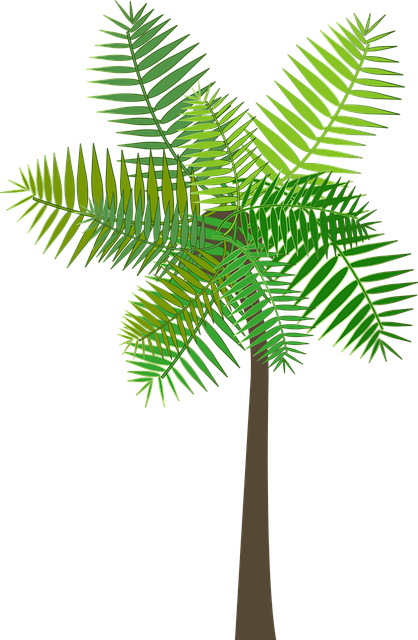 Grafisk, Palme Træ, Håndflade, Træ, Hav