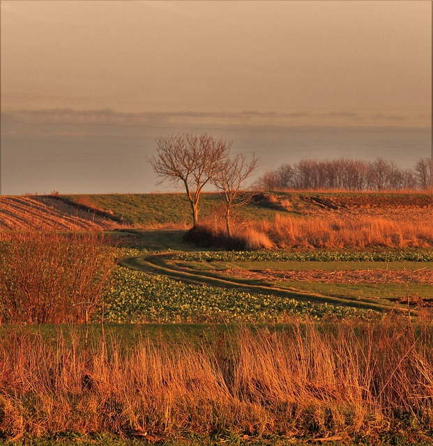 Free Landscape Sunset photo and picture