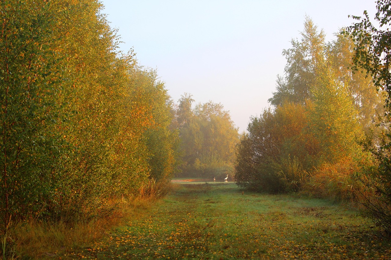 Sunrise - free online jigsaw puzzle photo