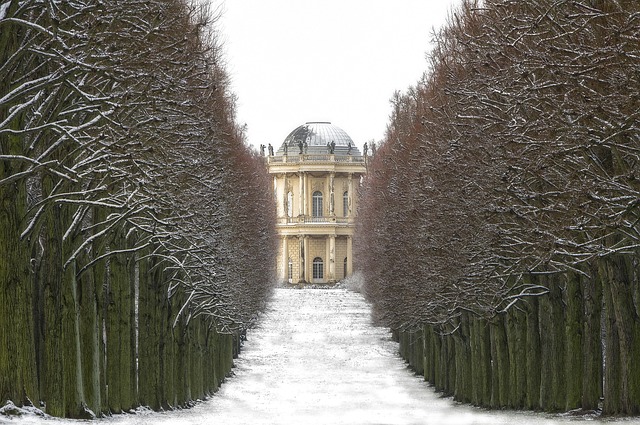 Free Winter Snow photo and picture