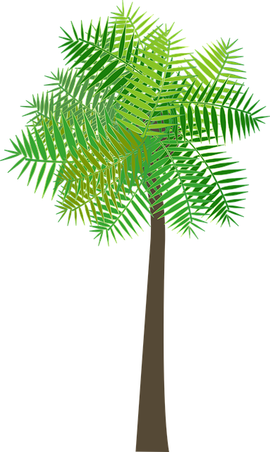 Grafisk, Palme Træ, Håndflade, Træ, Hav