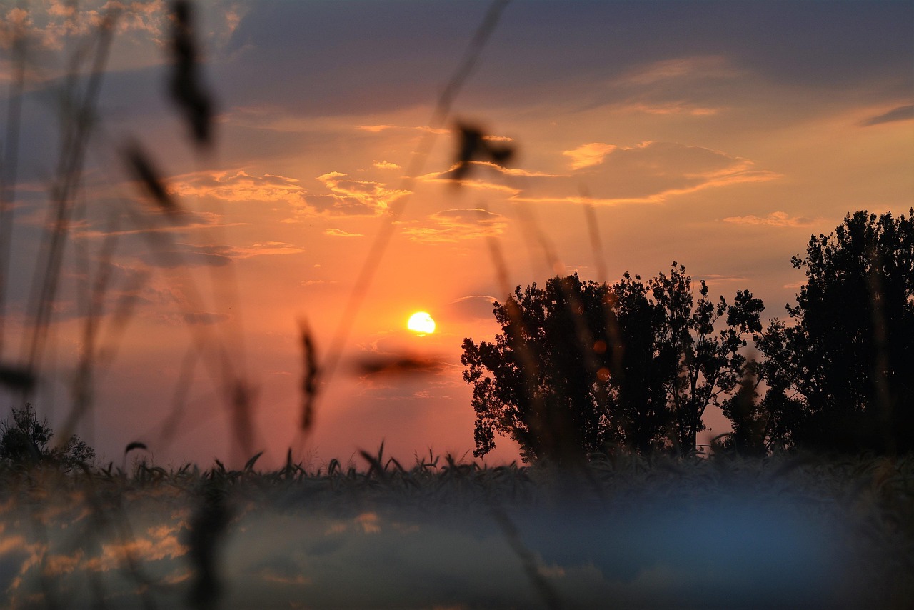 Puesta Del Sol Romántico - Foto gratis en Pixabay - Pixabay