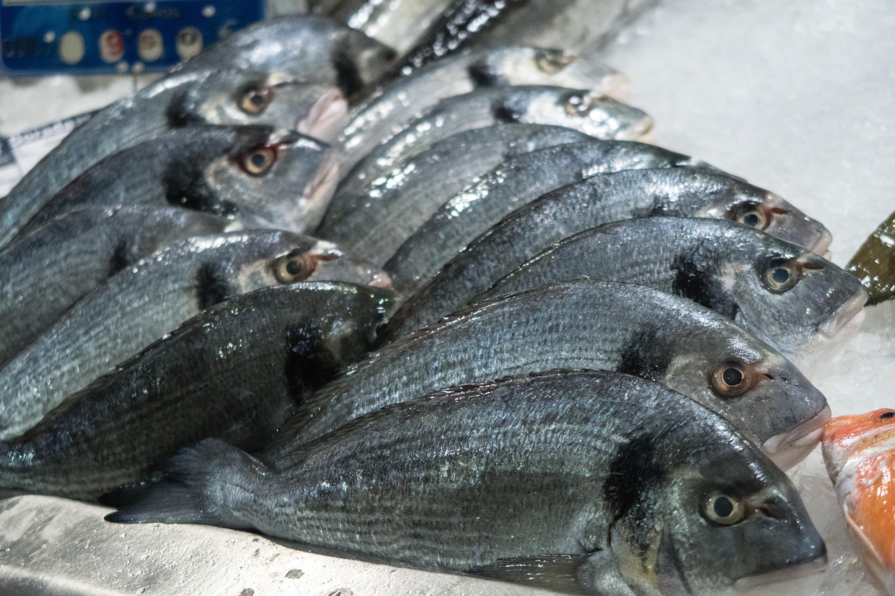 Fish - free online jigsaw puzzle photo