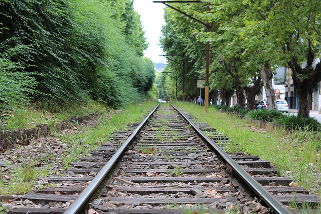 Free Rail Green photo and picture