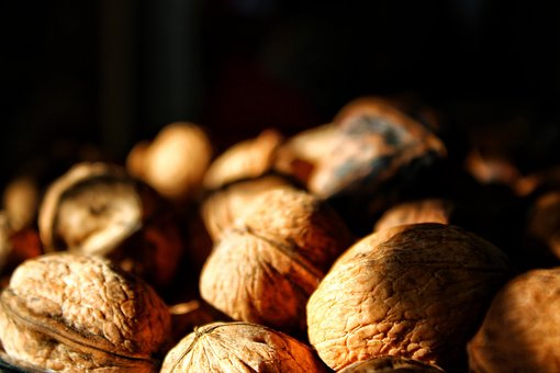 Nogueira, Fruto Secos, Alimentos