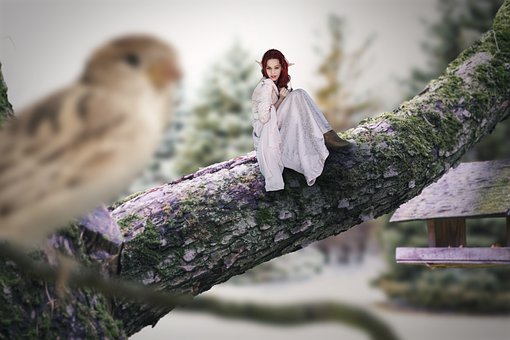 Free Young Woman Fantasy photo and picture