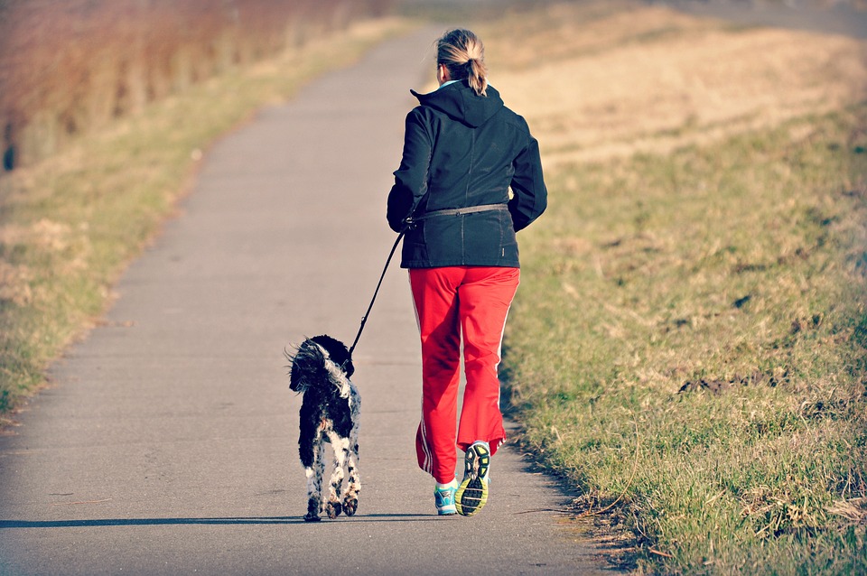 女性, 人, ジョギング, 犬, 運動, フィットネス, 健康, 国の道路, 堤防, 草, 農村