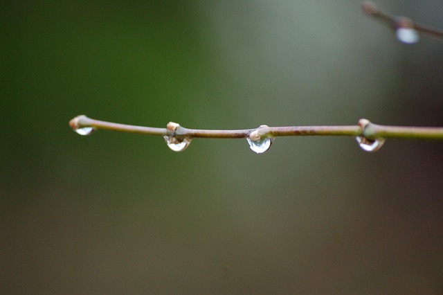 Water, Regen, Nat, Druppelen, Druppels