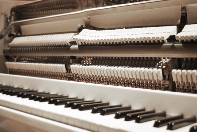 Free Piano Open photo and picture