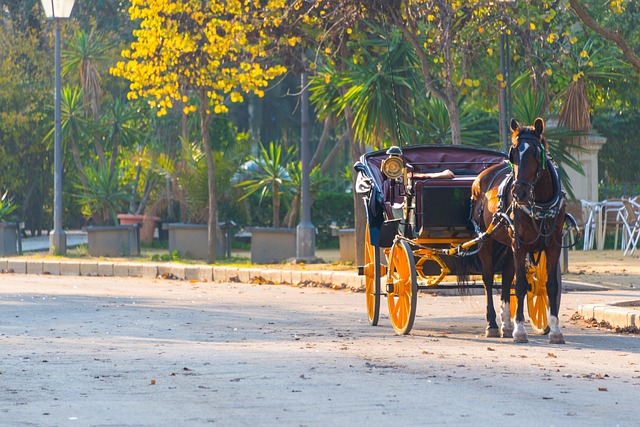 Free Horse Carriage photo and picture