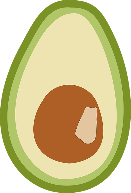 Free avocado fruit vegetables vector
