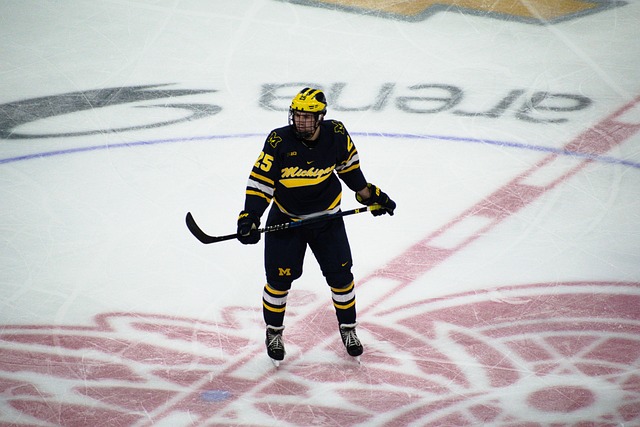 Eishockey, Spieler, Sport, Team
