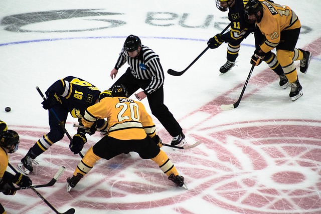 Eishockey, Spieler, Sport, Team