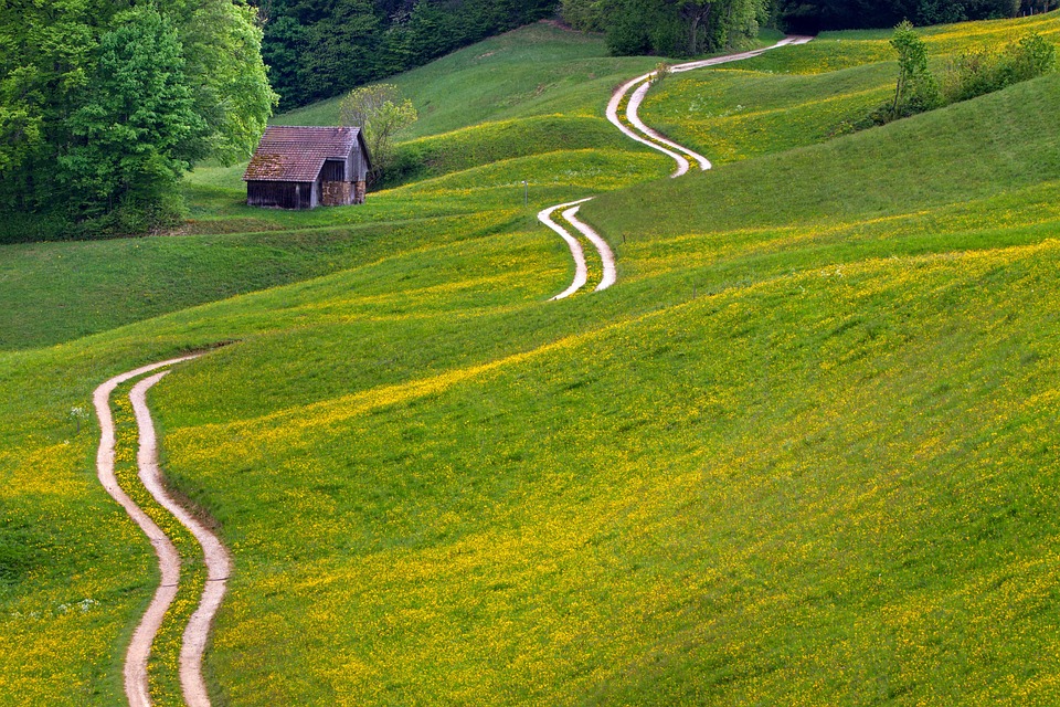 離れた, 牧草地, 道, 小屋, 風景, 緑