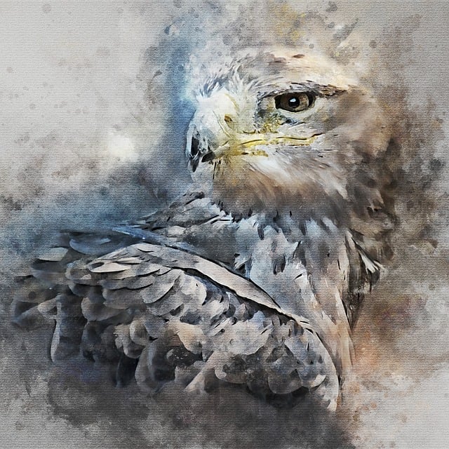 Free eagle bird nature illustration