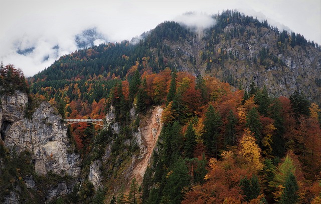 Free Bridge Fog photo and picture