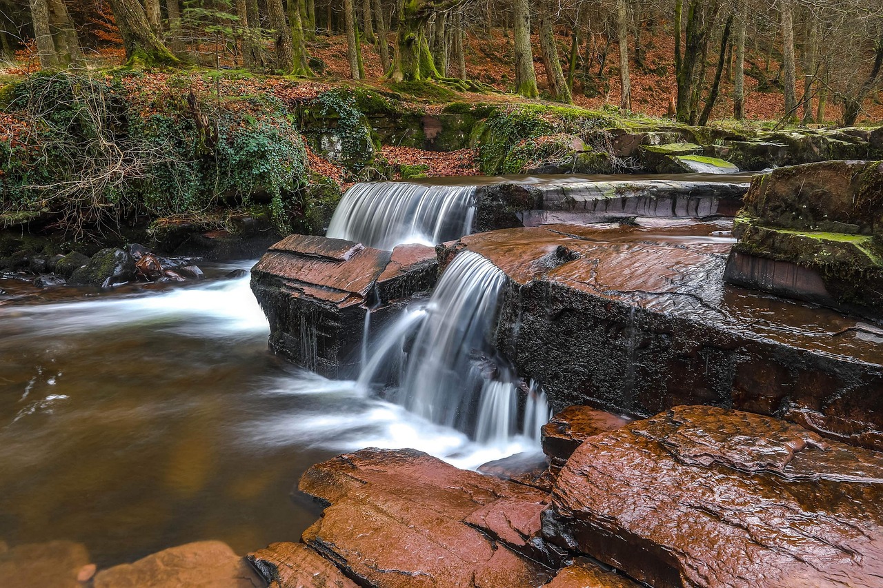 A River - free online jigsaw puzzle photo