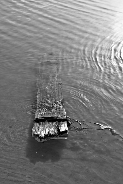 Free Board Water photo and picture