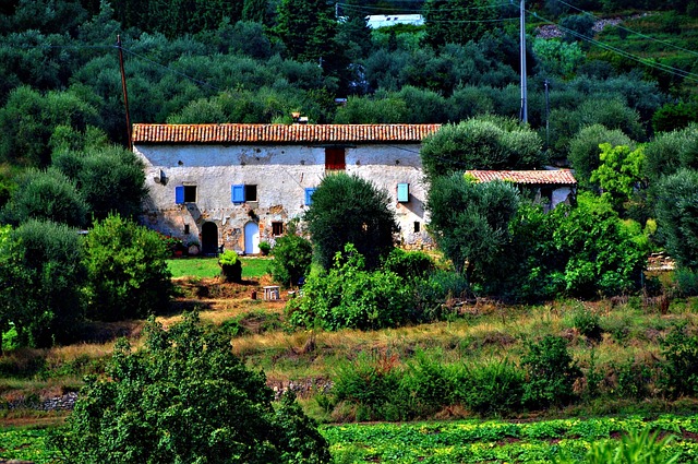 Free France Provence photo and picture