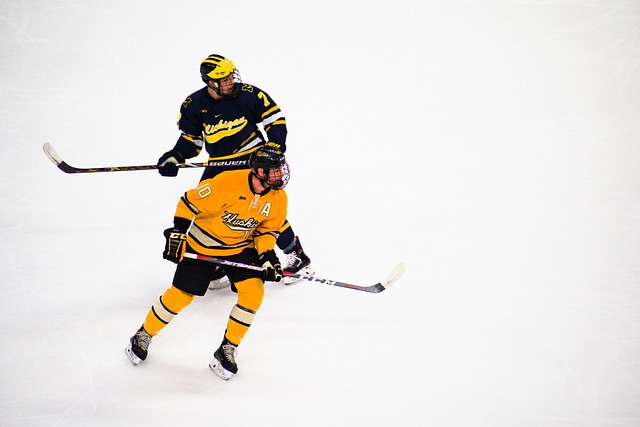 Eishockey, Spieler, Sport