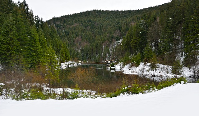 Free Nature Lake photo and picture