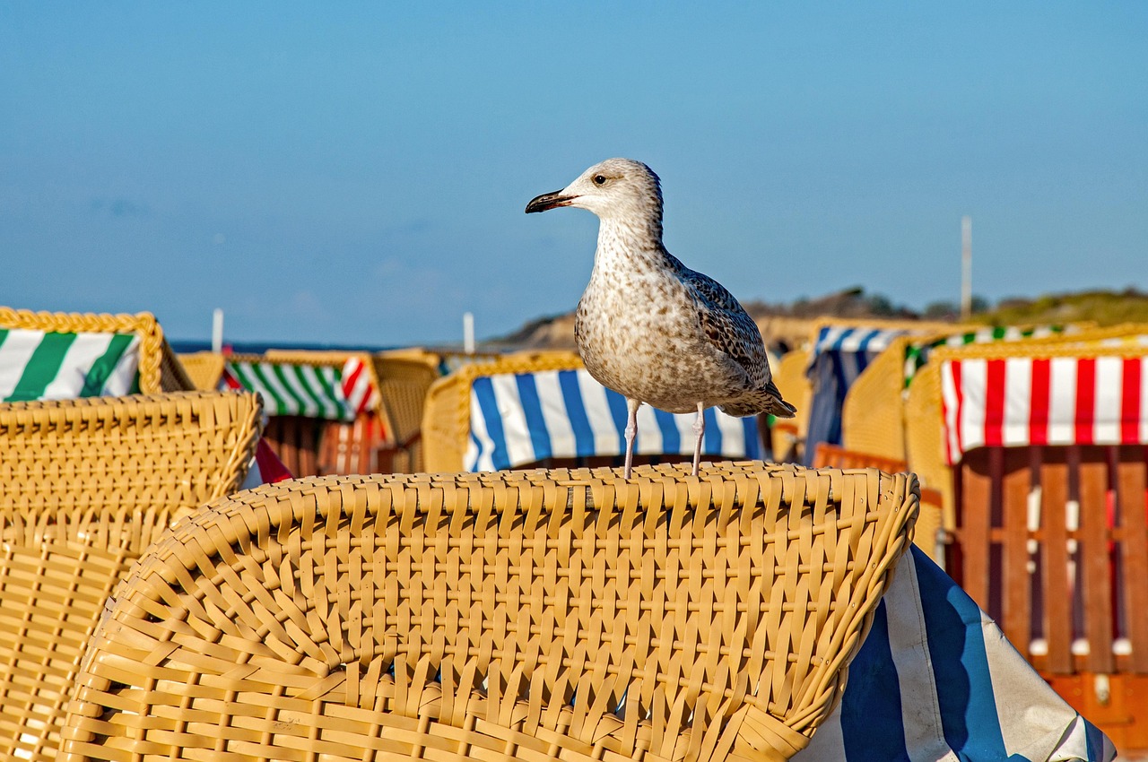 https://cdn.pixabay.com/photo/2019/01/10/01/32/sea-3924615_1280.jpg