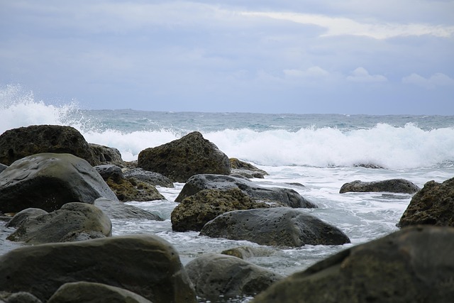 Free Beach Marine photo and picture