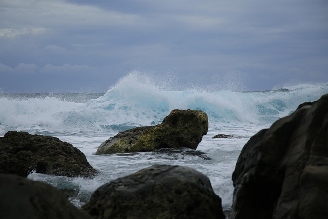 Free Beach Marine photo and picture
