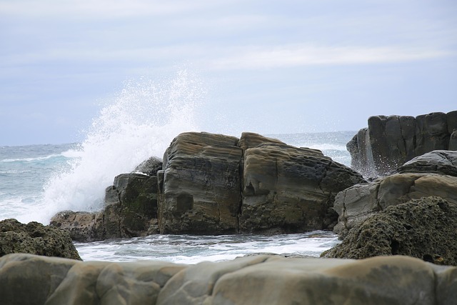 Free Beach Marine photo and picture