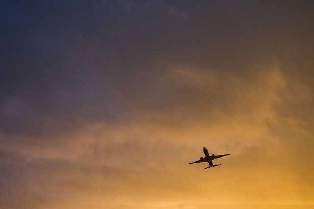 Plano, Aviación, Aeropuerto, Vuelo