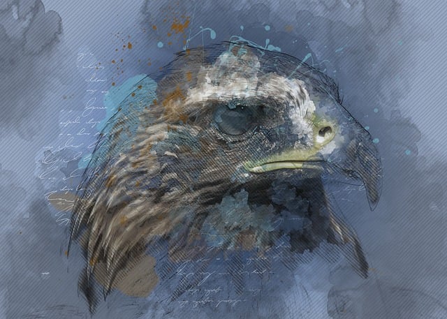 Free adler raptor bird of prey illustration