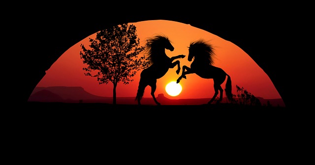 Free sunset horses fight illustration