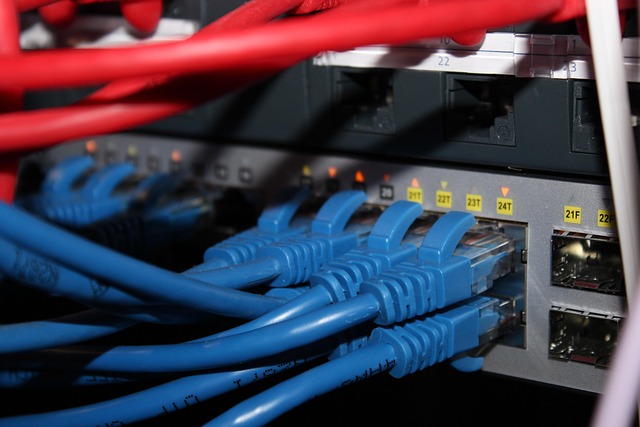 Free Patch Panel Cat 6 photo and picture