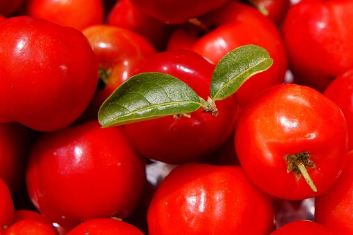 Vermelho, Verde, Acerola, Natureza