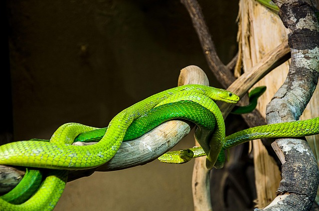 Download free HD stock image of Line Nature Free Line Nature photo and picture