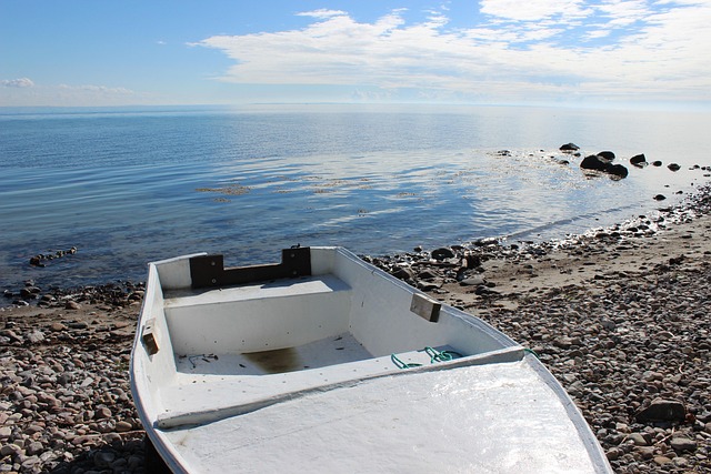 Free Denmark Kettingskov photo and picture
