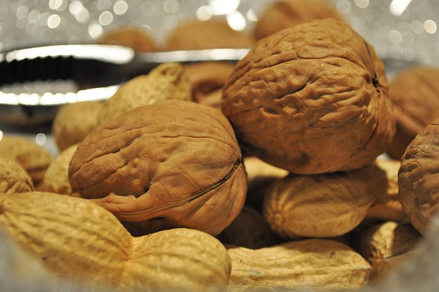 Free Nuts Peanuts photo and picture