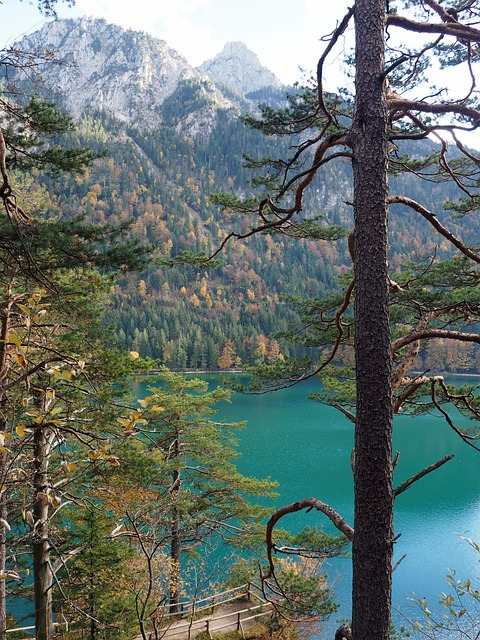Free Lake Water photo and picture