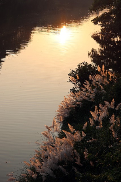 Reflexionen, Am Ufer, Sonnenstrahl