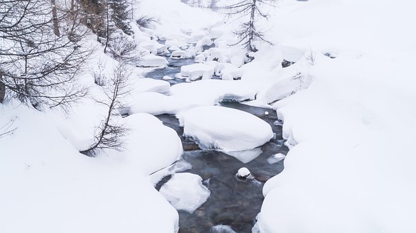 Arroyo, Nieve, Bosque, Desierto, País