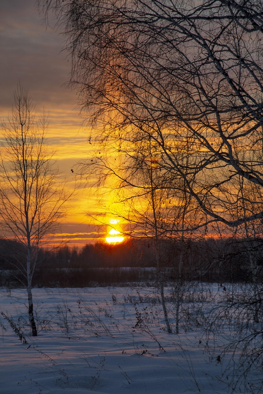 Download free HD stock image of Sunset Winter Free Sunset Winter photo and picture