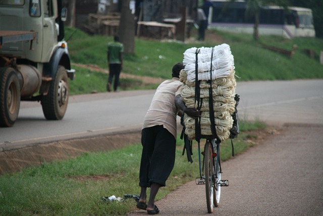 Free Bicycle Cargo Transport photo and picture